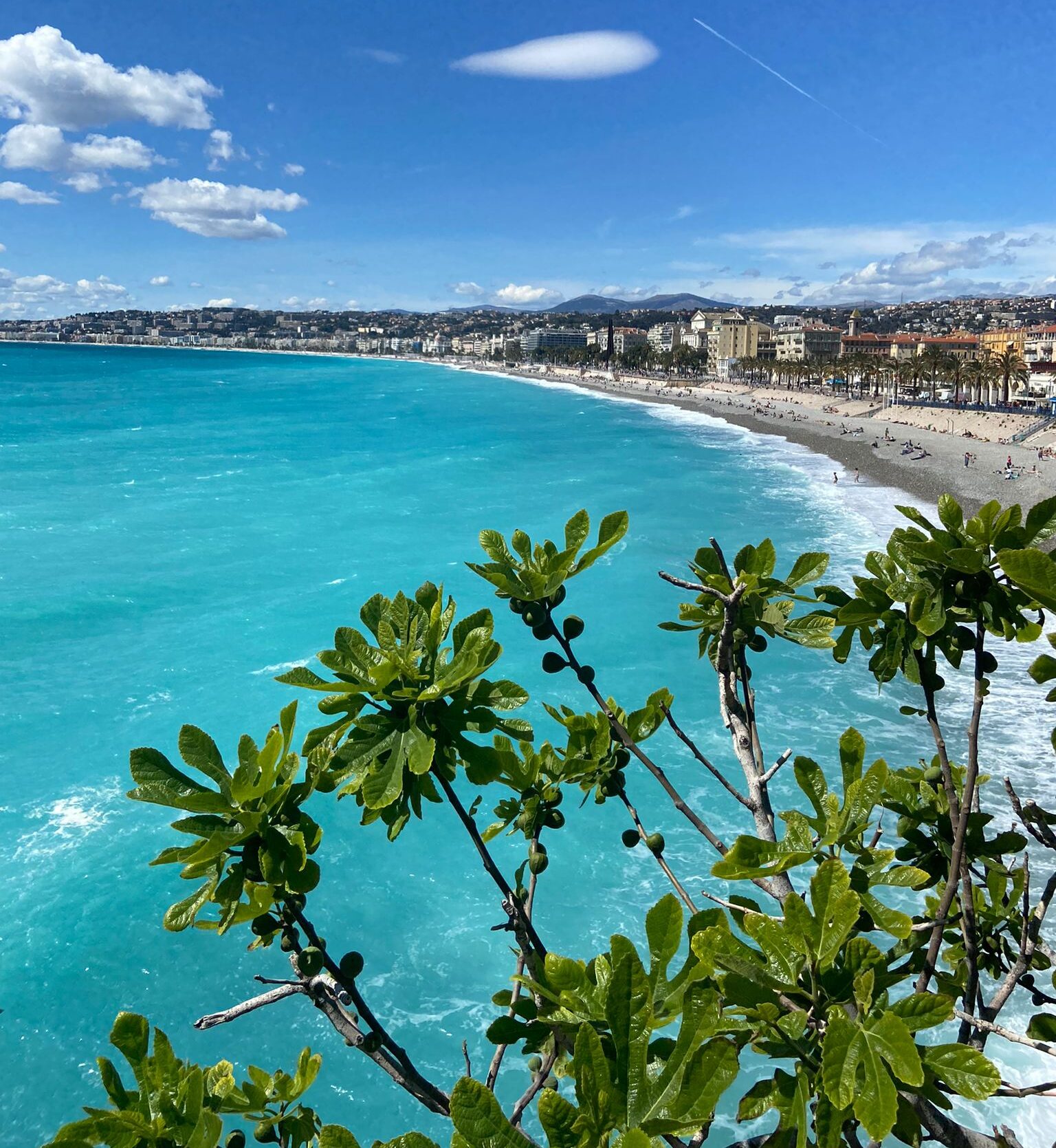 shore line and beach view