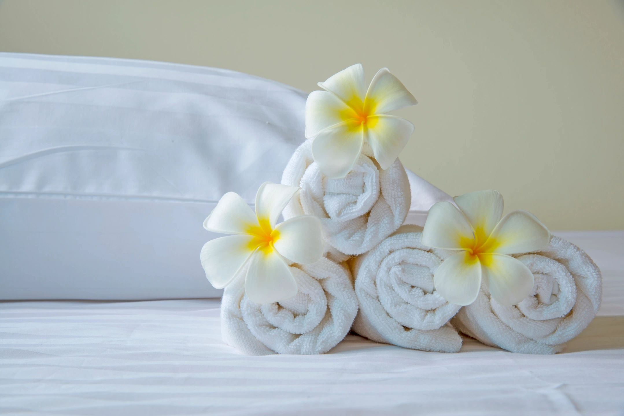 Rolled towels with flower decoration on hotel bed